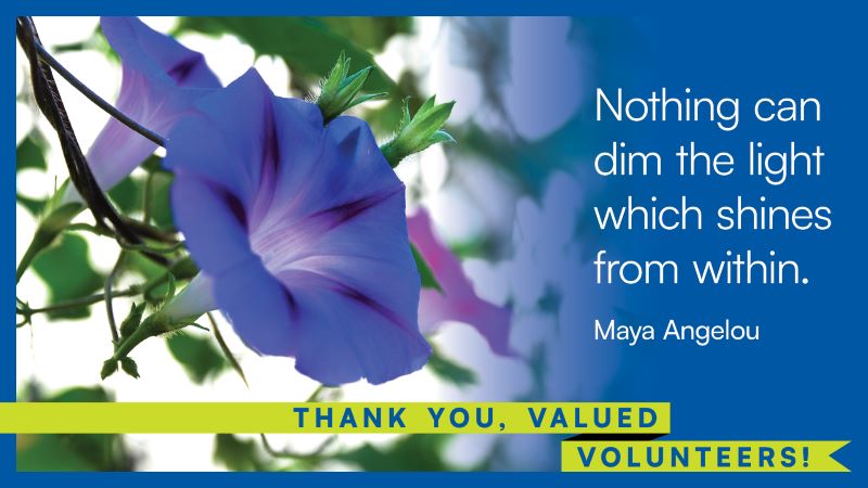"Nothing can dim the light which shines from within." - Maya Angelou. Thank you, volunteers.