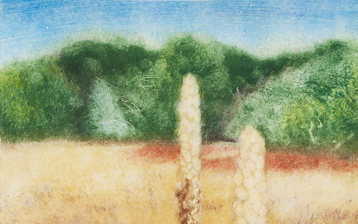 Detail view of the two plants in a field with trees in the background