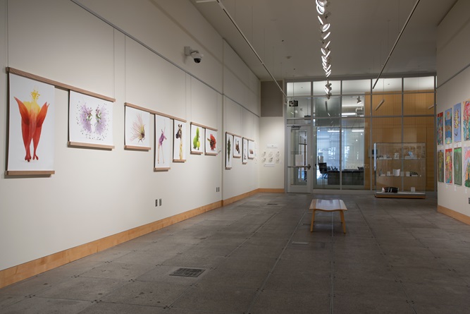 Cargill Hall art wall